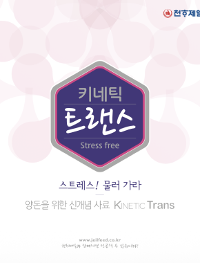 키네틱트랜스