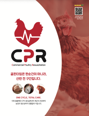 CPR
