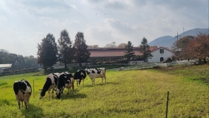 보도자료 썸네일