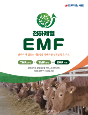 천하제일 EMF