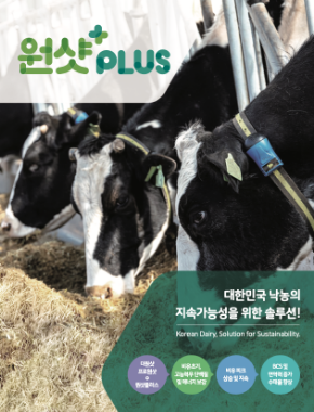 원샷 PLUS