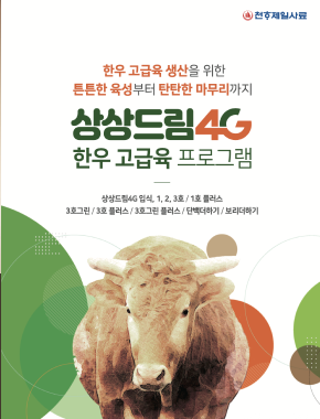 상상드림4G